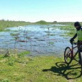 Un grupo de ciclistas graba en directo la “resurreción” del Záncara y su avance hacia el Guadiana