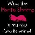 ¿Por qué la mantis marina es mi nuevo animal favorito? [EN]
