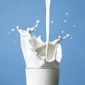 La leche de Gandalf y la inmovilización química del colesterol