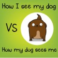 Cómo veo a mi perro VS cómo mi perro me ve a mí - The Oatmeal (ENG)