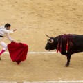 Los británicos financian las corridas de toros a través de las subvenciones de la UE [ENG]