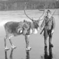 Finlandia en la Segunda guerra mundial