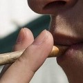 Los expertos abogan por regular el cannabis «para adaptarse a la realidad»