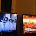 La CNN Turca da un documental sobre pingüinos mientras la CNN International cubre las protestas en Estambul