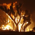La terrible belleza del fuego de la central electrica de California