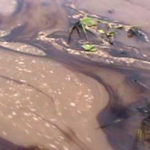 Gigantesco derrame de petróleo en un río de Ecuador avanza rumbo al Amazonas