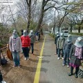 Así trollean a Google Street View en Japón