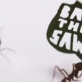 Manifestación de hormigas con diminutas pancartas para salvar la selva tropical (ING)
