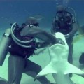 Buceadora persuade a un tiburón que abra la boca para extraerle un anzuelo