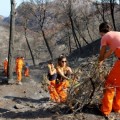 "Veníamos aquí a reforestar la Serra no a construir un parking"