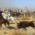 Mariló Montero: “En el Toro de la Vega no ha habido ninguna agresión al toro”