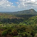 Una expedición científica descubre 60 nuevas especies en una zona selvática de Surinam