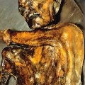 Identifican a 19 parientes vivos de Ötzi, el "hombre de los hielos"