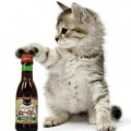 Olvida a tus amigos 'mala copa'; llegó el vino para gatos