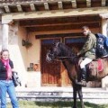 El joven español que buscaba trabajo a caballo ya ha sido contratado... en Holanda