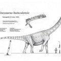 Así caminaba el mayor dinosaurio conocido
