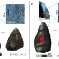 Hallan lanzas con punta de piedra anteriores a la existencia del 'Homo sapiens' (ING)