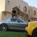 La moda en los Emiratos Arabes de tener un animal salvaje en casa está creando problemas a las autoridades