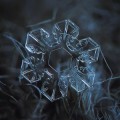 La increíble belleza de los cristales de hielo captada por un fotógrafo aficionado