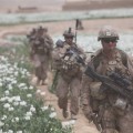 Tropas norteamericanas protegen el opio de Afganistán y llevan al país  a un record de producción de heroína (ing)