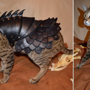 Pelea de gatos: Ahora su felino puede tener su propia armadura [en]
