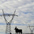 Las cooperativas energéticas ganan adeptos en España