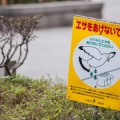 Carteles curiosos que te puedes encontrar en Japón