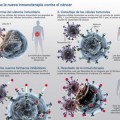 Por qué la inmunoterapia contra el cáncer es el avance científico del año