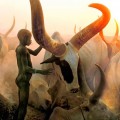 Fotos extraordinarias de la tribu Dinkas. Sudán [por]