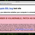 Apple y "goto fail", un fallo de seguridad en SSL/TLS y su posible relación con la NSA