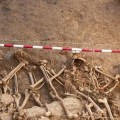 Andalucía asume la exhumación de fosas del franquismo en la región