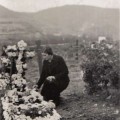 Galicia, radiografía de un exterminio