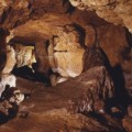 ¿Es buena idea reabrir la Cueva de Altamira?