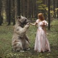 Fotografías con animales reales de Katerina Plotnikova