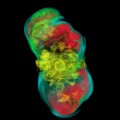 Modelos 3-D del colapso de un núcleo estelar: 500 TB de datos en 200 milisegundos (ING)