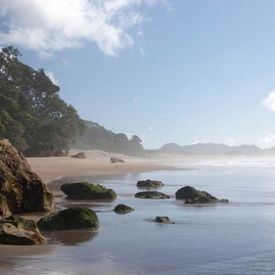 Una playa en la que brotan aguas termales en la arena (Hot Water Beach, Nueva Zelanda)