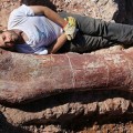 Hallan en Argentina al "dinosaurio más grande jamás descubierto"