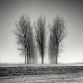 Los paisajes de Pierre Pellegrini, fotografiando atmósferas