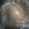En el centro de la galaxia espiral M61 [eng]