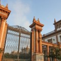 Málaga gastó 5,1 millones de euros en un museo que duró abierto seis horas... y otros casos de despilfarro público