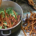 Ocho mitos desmontados sobre la ayahuasca