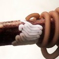 Criatura absurda de la semana: un gusano parásito que transforma a los grillos en maniacos suicidas (eng)
