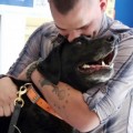 Emotivo reencuentro entre militar y perro detector de bombas