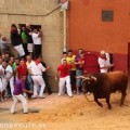 DAZ critica que el toro enmaromado destine 55.000 euros "al maltrato animal"