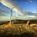Uruguay genera el 84% de su electricidad con energias renovables