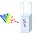 Daño del ADN a partir de longitudes de onda seguras para la vista