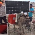 Granjeros turcos cargan sus portátiles usando burros a energía solar