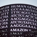 Investigadores españoles actualizan el genoma humano. Lo reducen a 19.000 genes