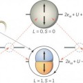Se observa la rotura de la simetría de inversión temporal en un supercondutor de fermiones pesados