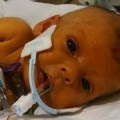 Un padre afligido pide en reddit que hagan desaparecer los tubos en una foto de su hija fallecida